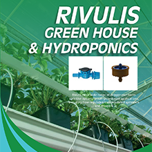 Green House & Hydrophonics